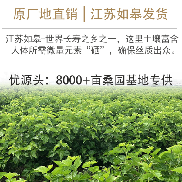 好的蠶絲被廠家批發(fā)-這一家比較有實力[常久]